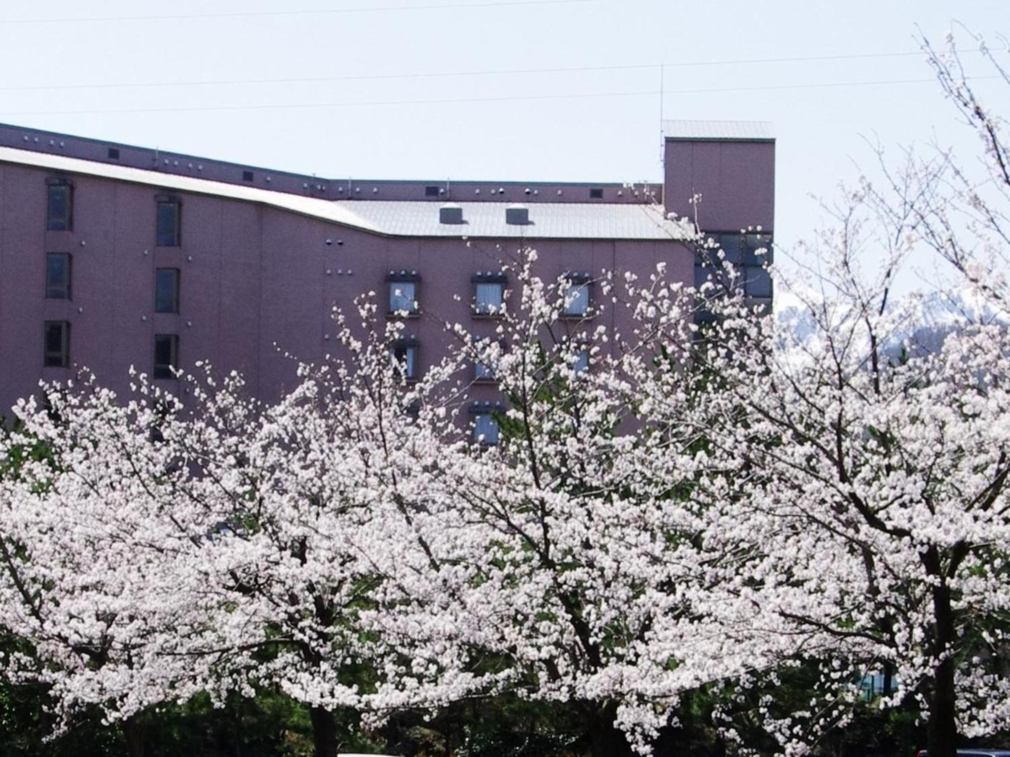 Hotel Kunitomi Annex - Vacation Stay 12072V Itoigawa ภายนอก รูปภาพ